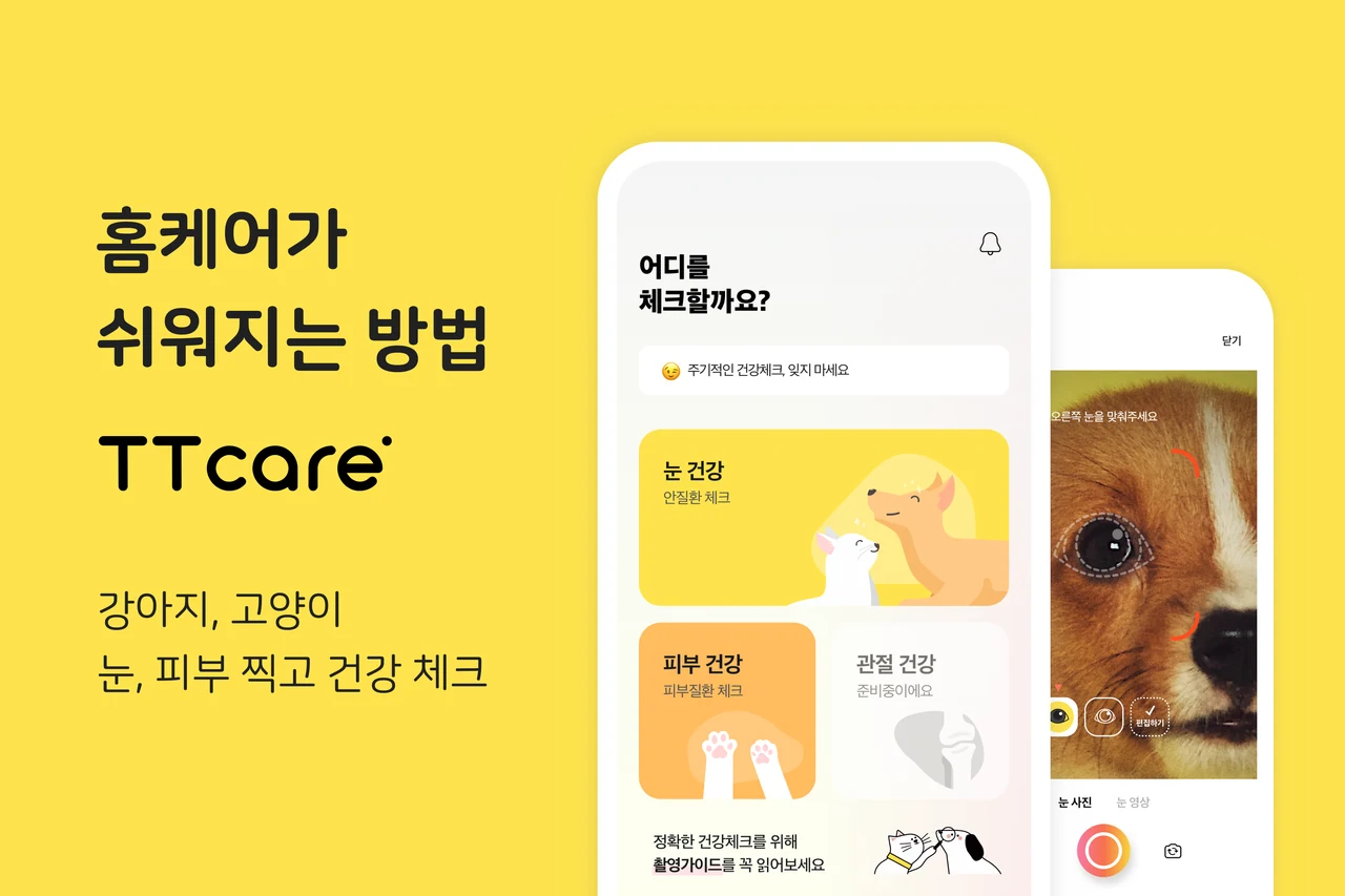 노란 배경의 티티케어 반려동물 건강관리 앱 화면